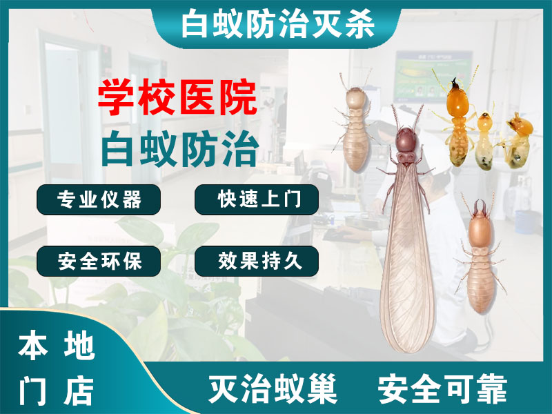 滨湖区学校医院白蚁防治