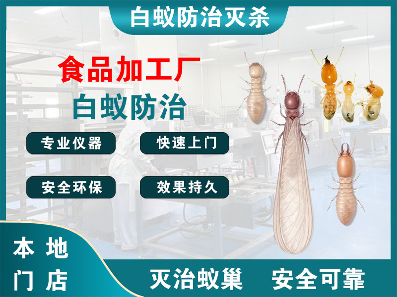 滨湖区食品加工厂白蚁防治