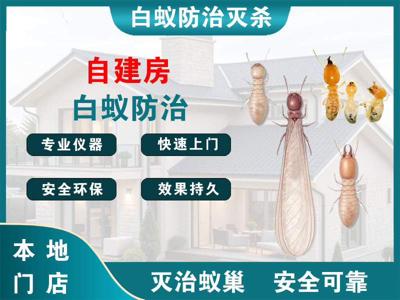 滨湖区自建房白蚁防治