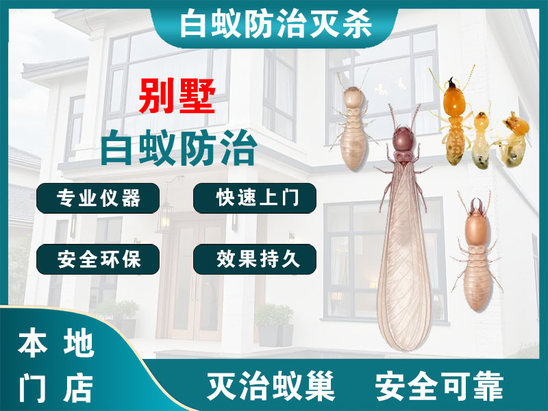滨湖区别墅白蚁防治